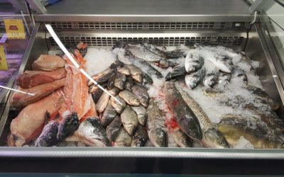 Frischfisch im Frischmarkt Gifhorn