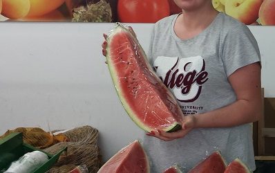 Leckere Wassermelonen im Frischmarkt Gifhorn…