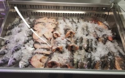 Frischfisch im Frischmarkt Gifhorn…